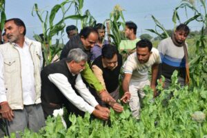 उप मुख्यमंत्री ने ओला एवं वर्षा से प्रभावित खेतों का निरीक्षण किया